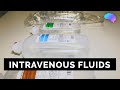 A guide to intravenous fluids (IV)