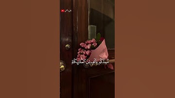تلاوة خاشعة للشيخ ماهر المعيقلي 🎧❤️‍🩹 #أرح_سمعك_وقلبك #اكسبلور #طمئن_قلبك #ماهر_المعيقلي