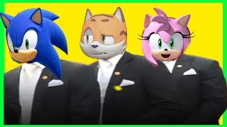 Tommy Thunder & The Sonic & Amy Rose | Coffin Dance Meme Astronomia (Cover)