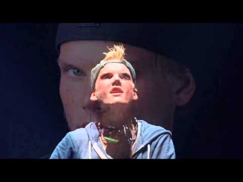 Chipmunks Avicii Hey Brother