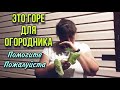 Беда настигла мой огород 😱 помогите советом 😭 горе для  огородника