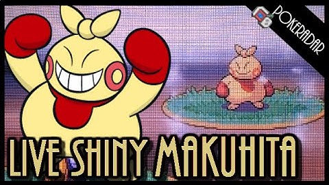 LIVE!! Shiny MAKUHITA + SHINY PATCH at chain of 40