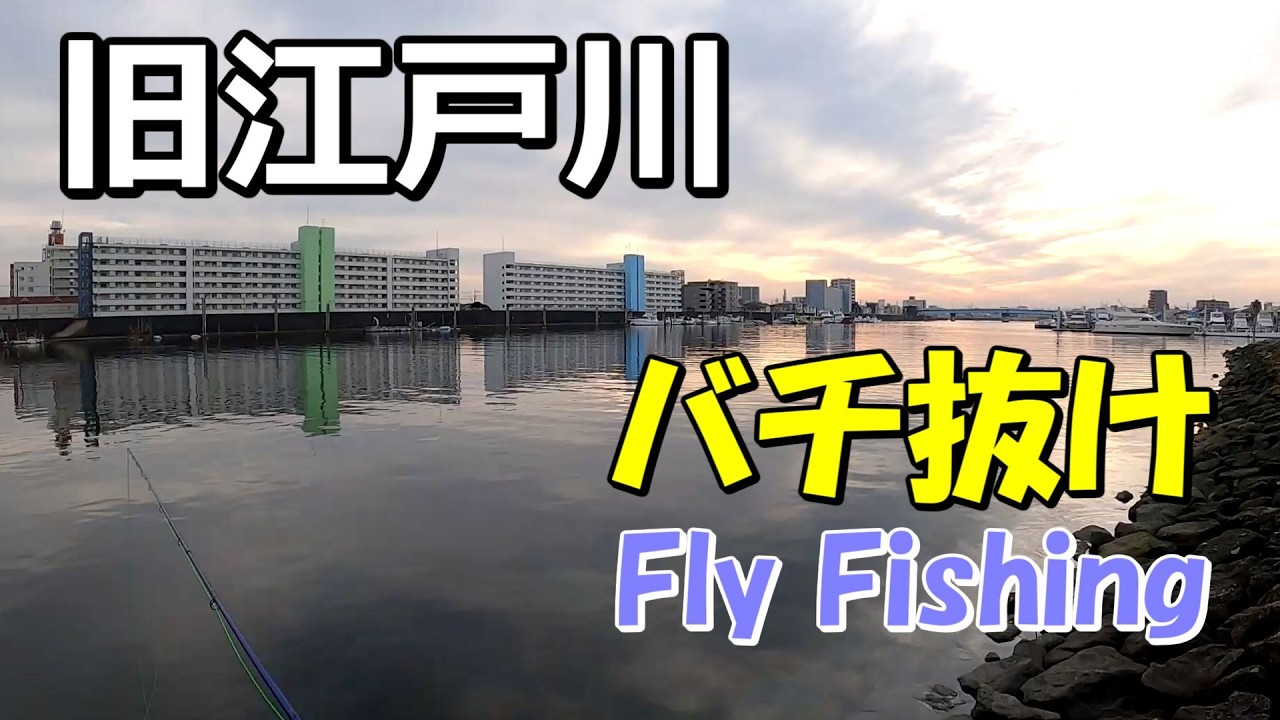 【冬バチ抜け】旧江戸川でフライフィッシング