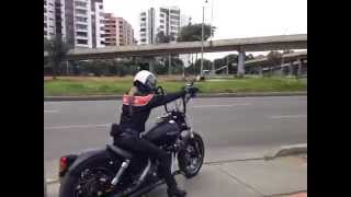 HARLEY DAVIDSON STREET BOB DYNA NIGHT RIDERS COLOMBIA  HD