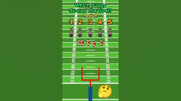 who scored the goal? 👀🤔😱 #shorts #youtubeshorts #ytshorts #puzzle #brainteaser #guessinggame