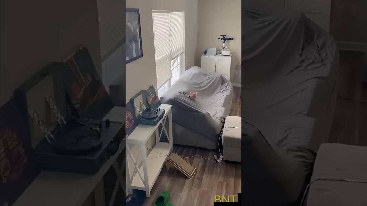 The ultimate betrayal! 🛀😂 #shorts #pets hoặc Someone hates bath time! 🤣 #funny