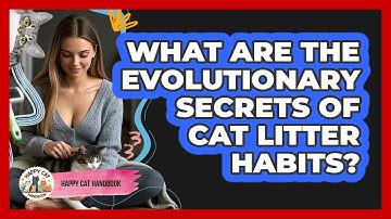 What Are The Evolutionary Secrets Of Cat Litter Habits? - Happy Cat Handbook