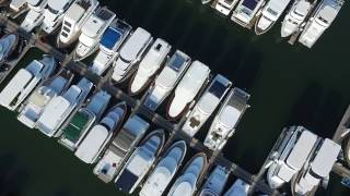 Discovery Bay Marina December 2016
