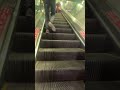Metro ki sawari #lifeisbutadream #minivlog #ihavethisthingwithplants #office #funny #vlog #nothing