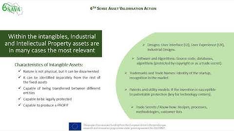 6SAVA 1.1 IP protection strategy – Protection of technological assets