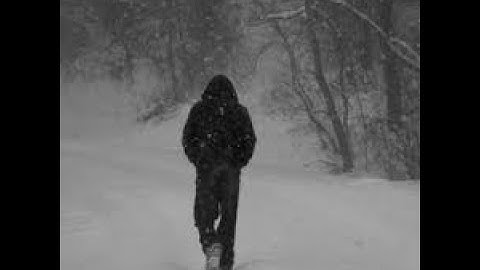 10 dollar weekly payouts x-network.org