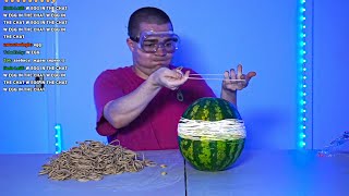 EXPLODING A WATERMELON WITH RUBBER BANDS
