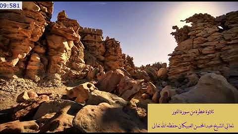 تلاوة عطرة من سورة النور - الشيخ عبدالمحسن العبيكان - حفظه الله