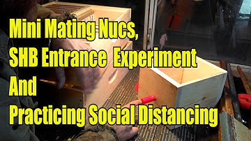 Mini Mating Nucs, SHB Experiment And Practicing Social Distancing