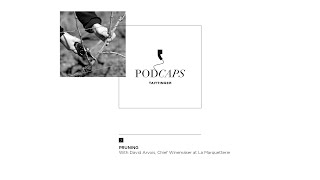 Episod 1 - Pruning : The routine actions of a working vineyard