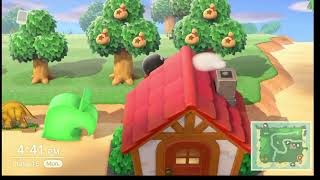 Animal Crossing New Horizons Day 7