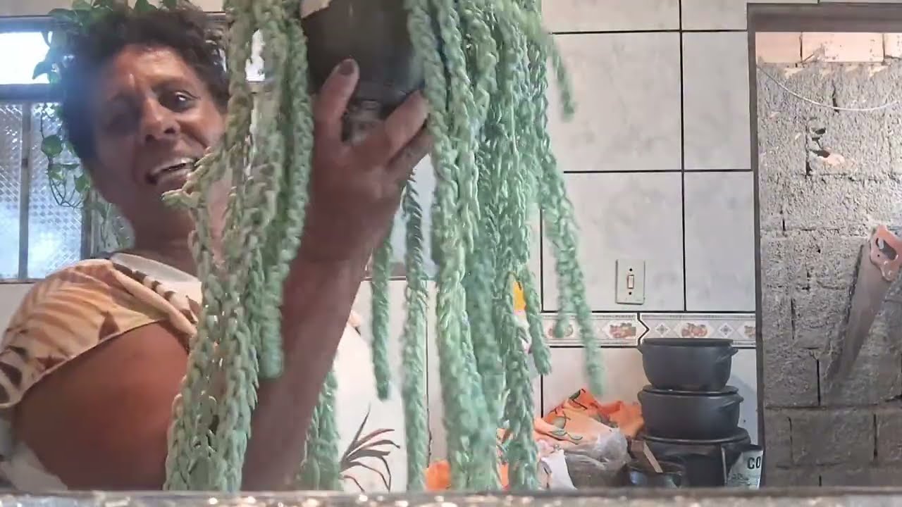 Mostrando algumas plantinhas. ☘️🌵🍀🍃🍀🥀🌷