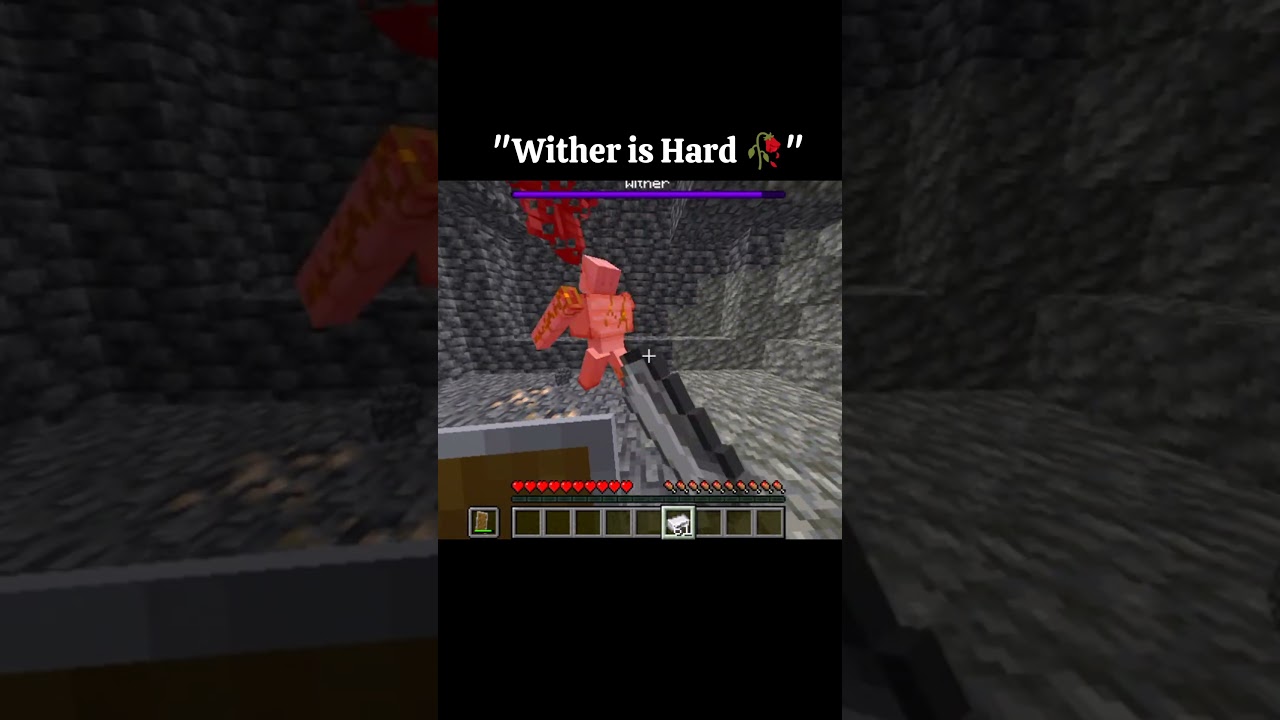 POV : WITHER IS TOO HARD 