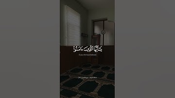 سورة الأحزاب - الآية [ 56 ] - تلاوة عبدالله الخياط