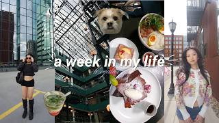 A WEEK IN MY LIFE AS A 27 YEAR OLD | content day, posy's surgery & acting career?!