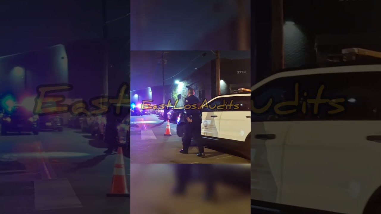 «Парковаться там нельзя» 