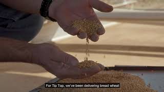 Tip Top Sunblest Farmer Sean 30s screenshot 5