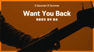 🎧5 Seconds of Summer - Want You Back (화음강조 좌우 음성)