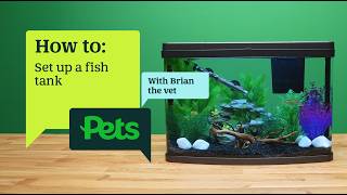How to set up a fish aquarium | A beginner's guide to tanks, filters & water care