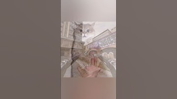 OG MW2 players will remember. The Akimbo Model 1887’s are back in MW3! #callofduty #mw3