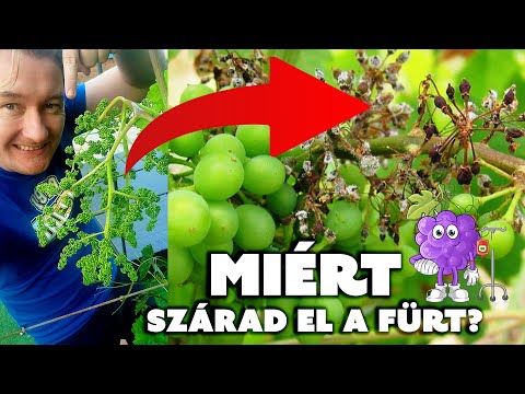 Videó: Miért barnul a formium?