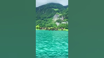 واتس اب قران كريم القارئ ياسر دوسري (سوره البقرة)