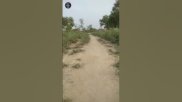 Arduino Bluetooth DIY Remote control car | Scitivex | DIY Electronics project