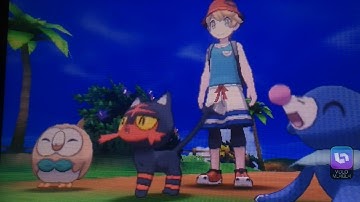 How to Hunt for the shiny starter in Pokémon in Ultra Sun and Ultra Moon!