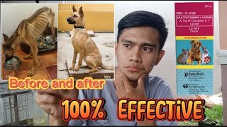 LCVIT REVIEW | ITO ANG VITAMINS PARA SA PAYAT AT MATAMLAY NA ASO