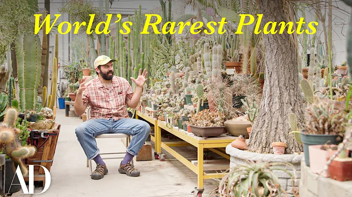 Inside a Hidden LA Greenhouse Full of the World’s Rarest Plants | Architectural Digest