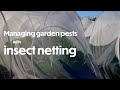 Managing Fruit and Veggie Pests Proactively with Insect Netting | Farm your Yard