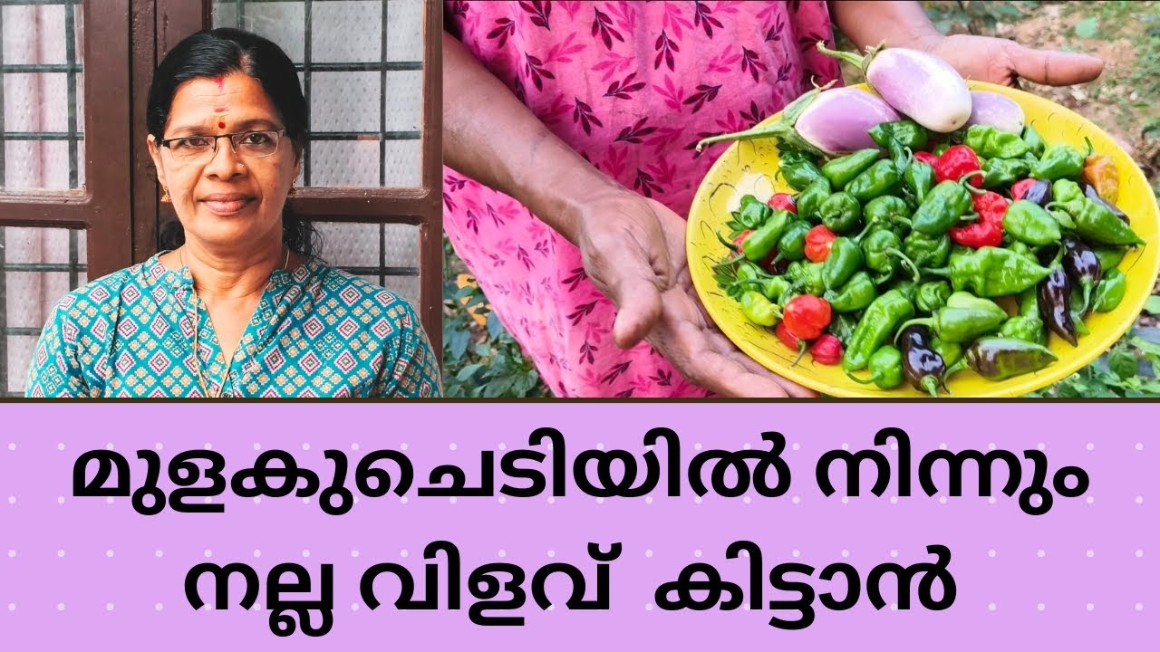 ഇങ്ങനെ വളം കൊടുക്കൂ 🥰