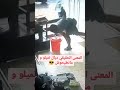نميلو و مانطيحوش 