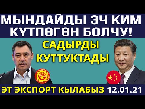 Video: Кытайга экспорт: мүмкүнчүлүктөр, реалдуулук, перспективалар