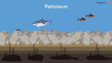 Class-8-Science-Ch-9-Coal & Petroleum-Topic- Formation of Petroleum