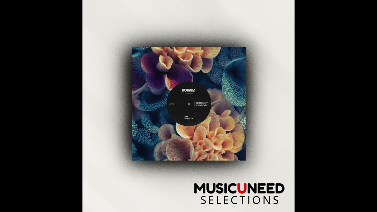 KOKO.IT - The Gift (Of Life) (Original Mix) - YouTube