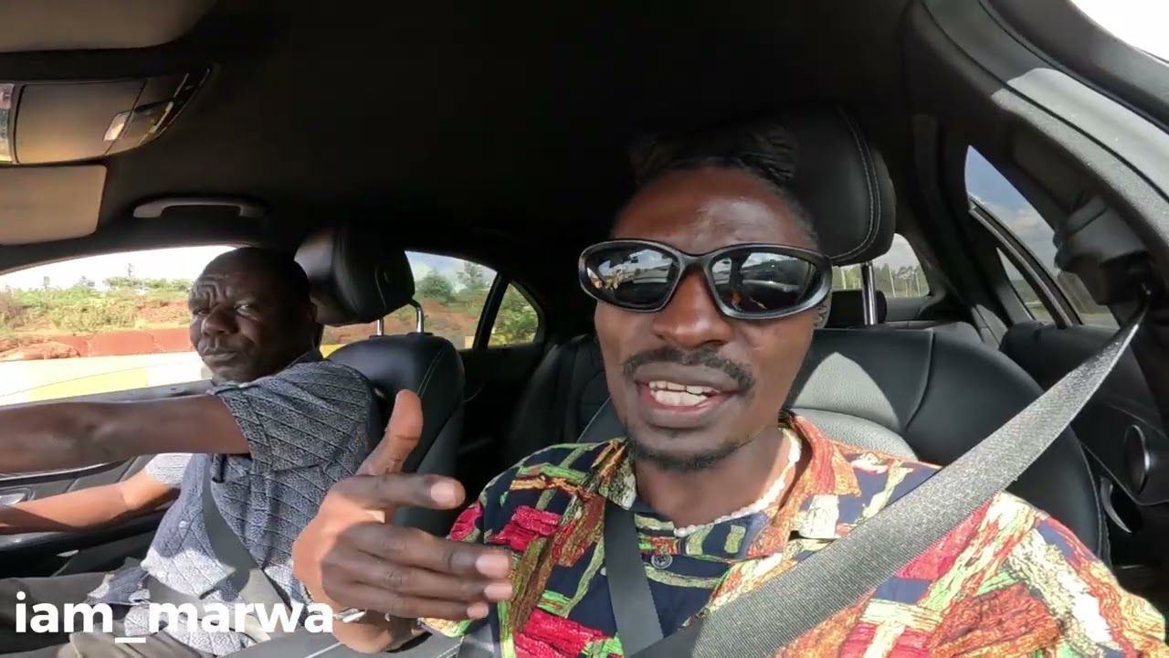 Meet Our New Appaloosa  Horses From South Africa To Kenya Africa !!!