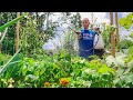How to Control Pests in your Garden, 3 Organic Sprays I’m USING This Year