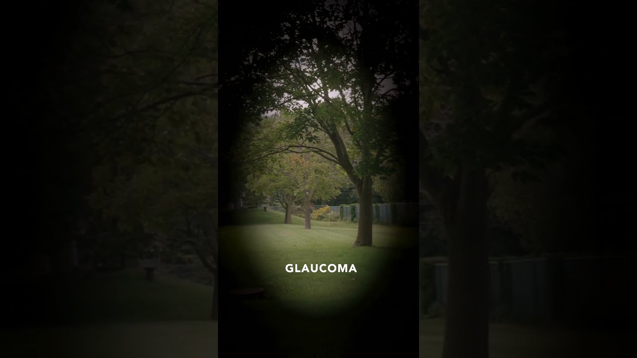The World Through Eyes Of A BLIND Person