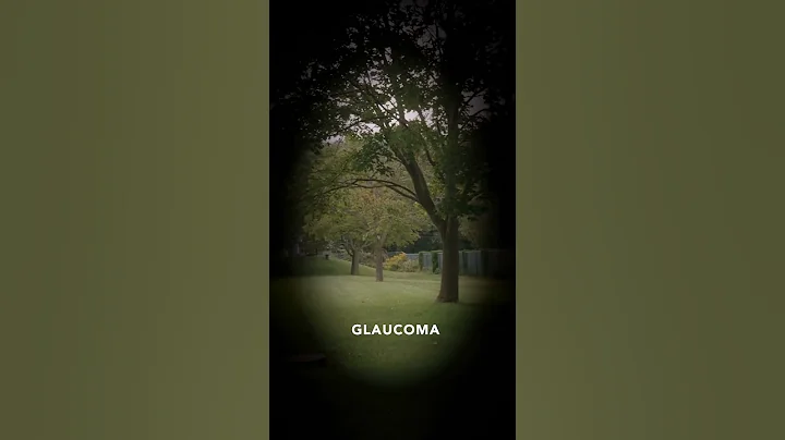 The World Through The Eyes of a BLIND Person