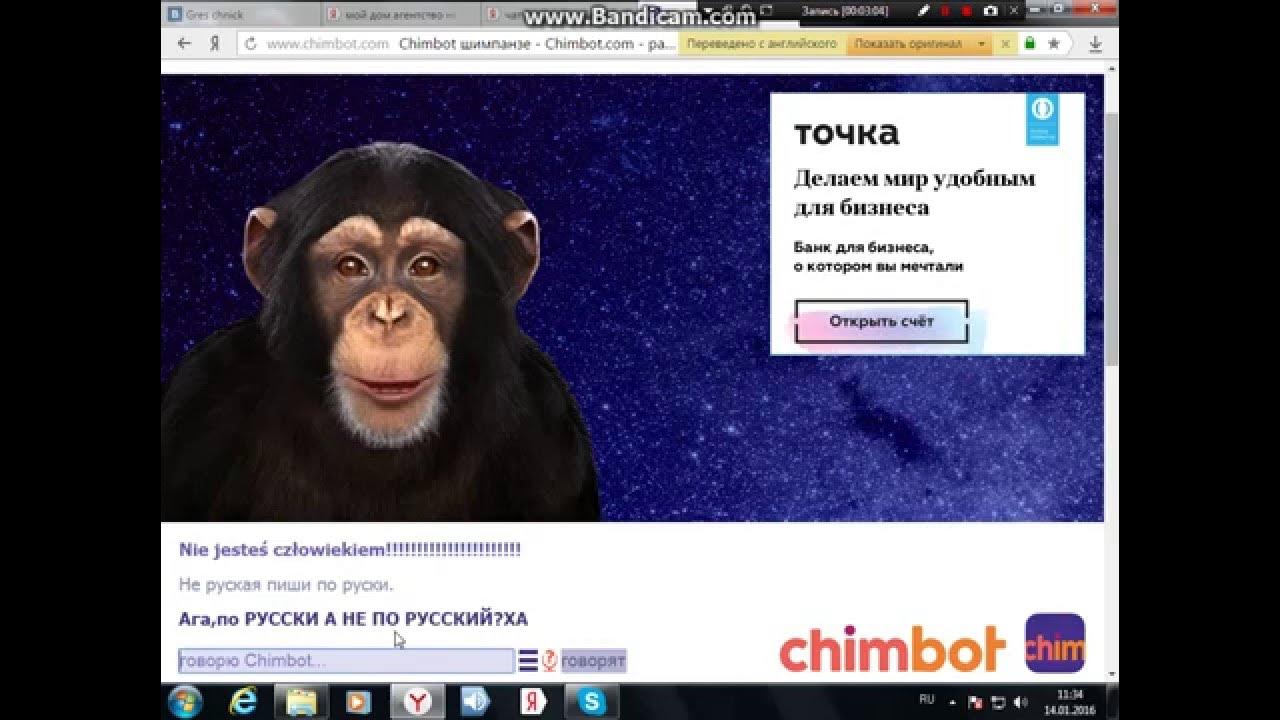 чат бот обезьяна. говорящий бот обезьяна. тролли в чате. голос бота. чат с обезьяной.