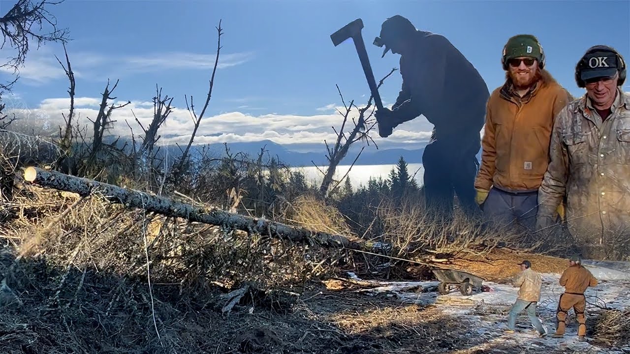 Fallen Snag Wreaks Havoc on Alaskan Homestead || Otto Kilcher
