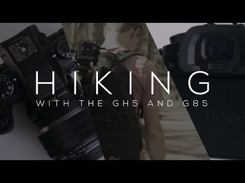 Hiking with the