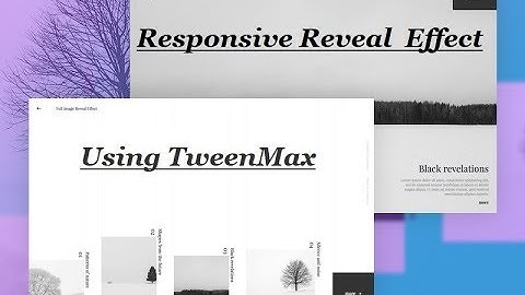 Awesome Reveal Effect 2019 || Using TweenMax