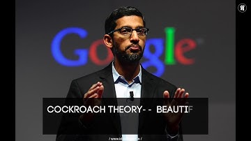 Cockroach Theory By Sundar Pichai CEO Google